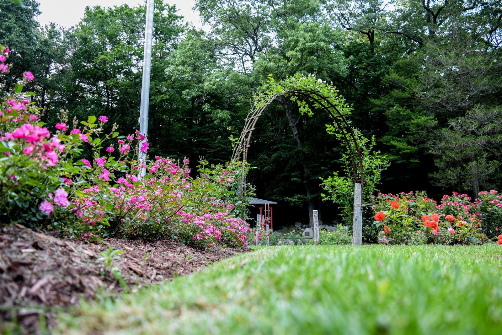 Veterans Memorial Rose Garden 1 Veterans Memorial Rose Garden