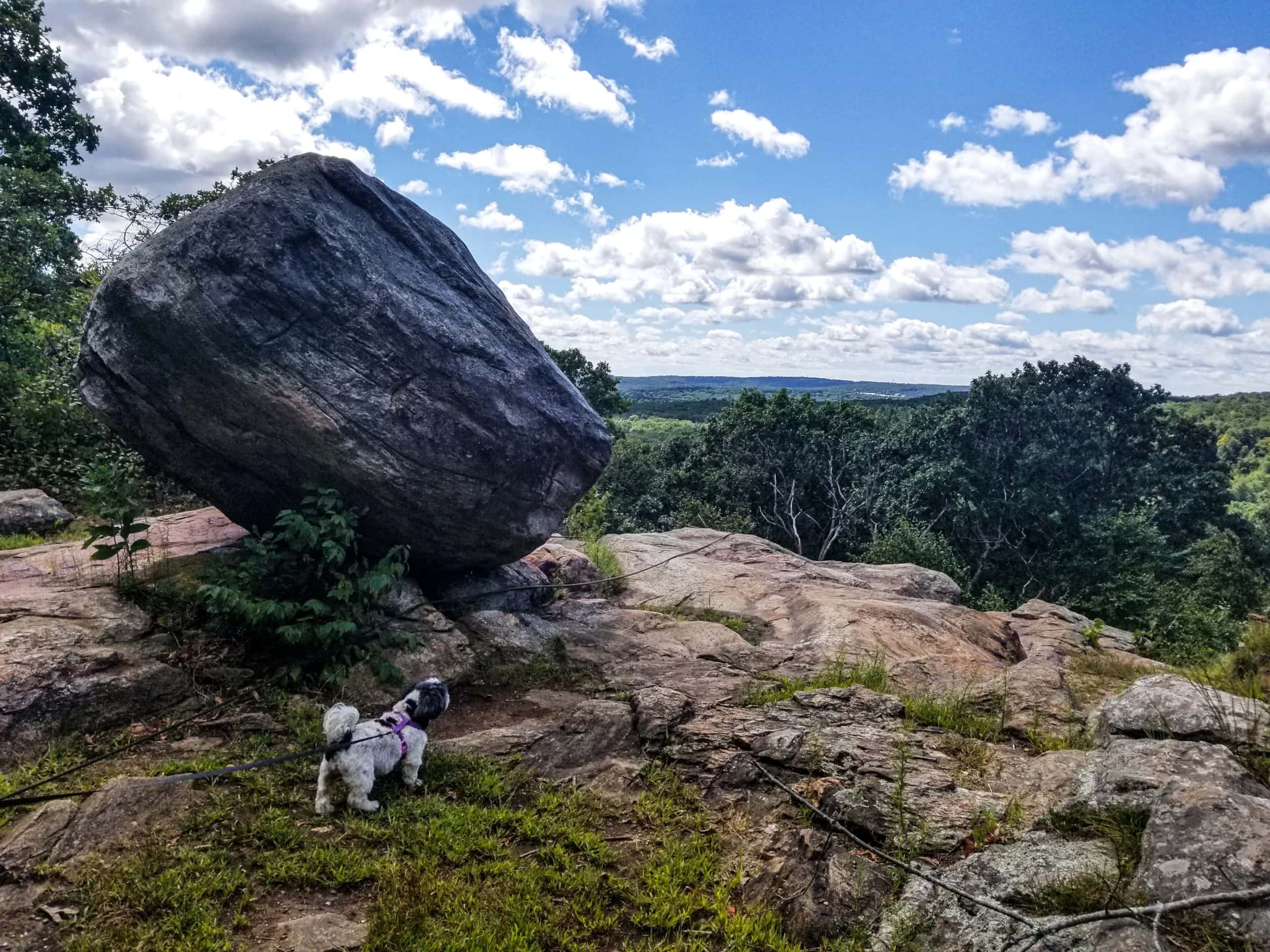 Wolf Rock Nature Preserve 1 Wolf Rock 4 Scaled