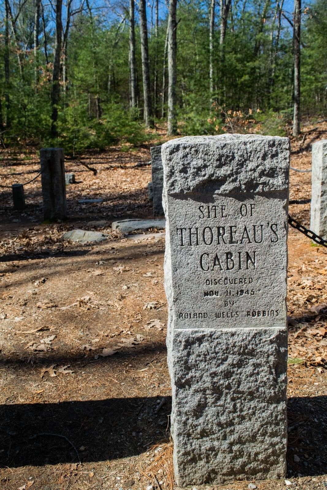 Walden Pond Thoreau 13