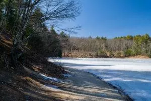 Ice Rimmed Surface of Walden Pond