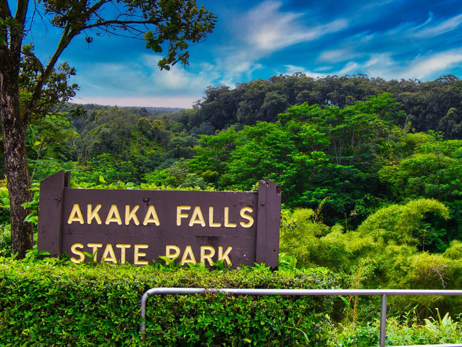 Akaka Falls State Park, Honomu, Hawai'I 1 P1020681